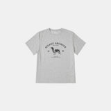 SITP5191 Archive Hound Printing Short Sleeve T-Shirt_Melange gray