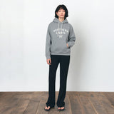 SITP5251 NORTHERN LIGHTS fleece hoodie_Melange gray